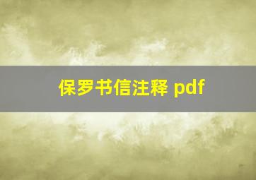 保罗书信注释 pdf